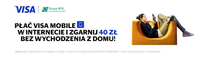 visa grafika
